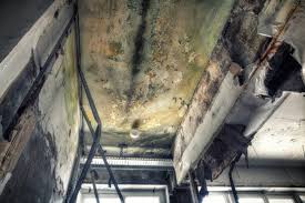 Mold Remediation for Rental Properties in Buffalo, OK